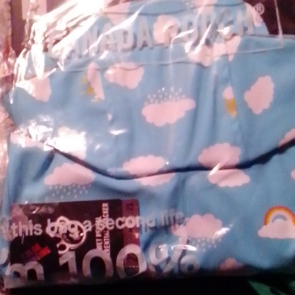 Blue Cloud Dog Raincoat